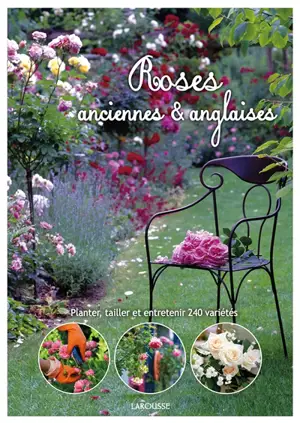 Roses anciennes & anglaises : planter, tailler et entretenir 240 variétés