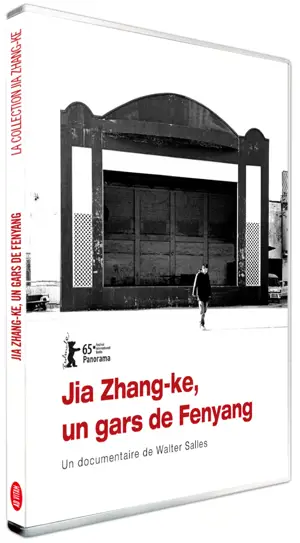 JIA ZHANG-KE, UN GARS DE FENYANG