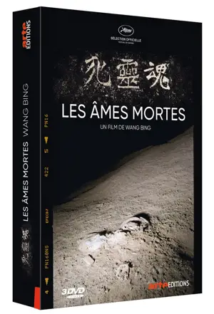LES AMES MORTES - 3 DVD