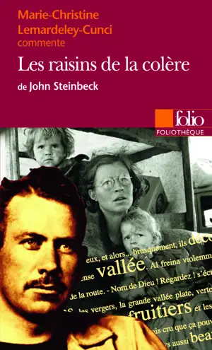 RAISINS DE LA COLERE  -FOLIOTHEQ-