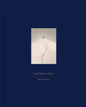 MASAO YAMAMOTO SMALL THINGS IN SILENCE