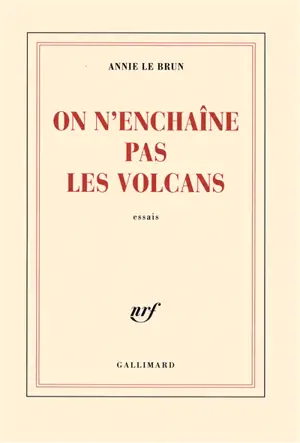 On n'enchaîne pas les volcans : essais