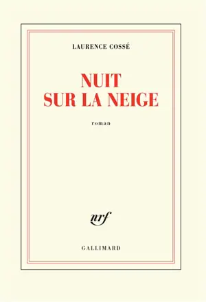 Nuit sur la neige