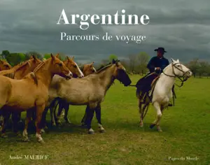 ARGENTINE - PARCOURS DE VOYAGE