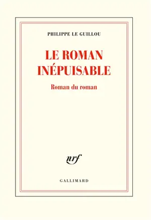 Le roman inépuisable : roman du roman