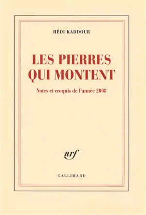 Les pierres qui montent : notes et croquis de l'année 2008