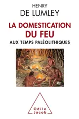 La domestication du feu : aux temps paléolithiques