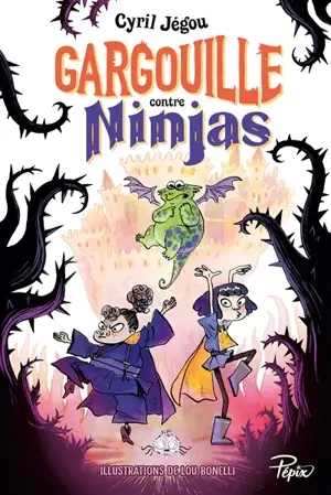 Gargouille contre ninjas