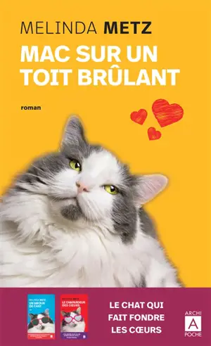 Mac sur un toit brûlant