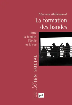 La formation des bandes : entre la famille, l'école et la rue