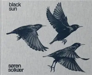 Søren Solkær : Black Sun