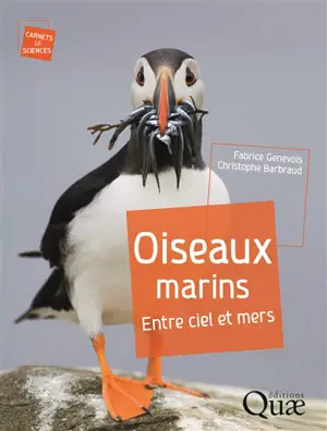 Oiseaux marins : entre ciels et mers