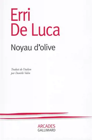 Noyau d'olive