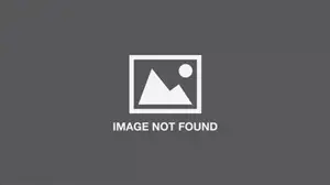 Anthony Cudahy : Like night needs morning