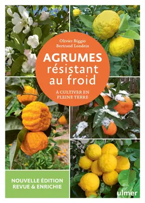 Agrumes résistant au froid : à cultiver en pleine terre