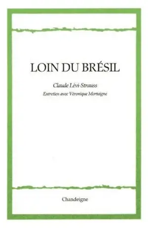 Loin du Brésil : entretien avec Véronique Mortaigne