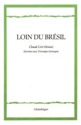 Loin du Brésil : entretien avec Véronique Mortaigne