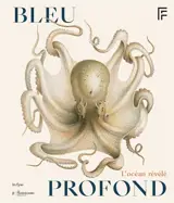 Bleu profond : l'océan révélé