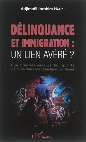 Délinquance et immigration : un lien avéré ? : étude sur les mineurs délinquants détenus dans les Bouches-du-Rhône