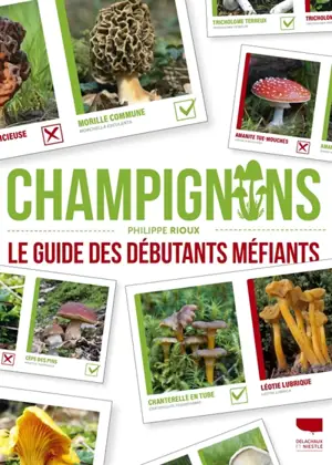Champignons : le guide des débutants méfiants