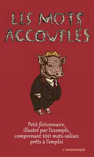 Les mots accouplés : petit fictionnaire, illustré par l'exemple, comprenant 100 mots-valises prêts à l'emploi