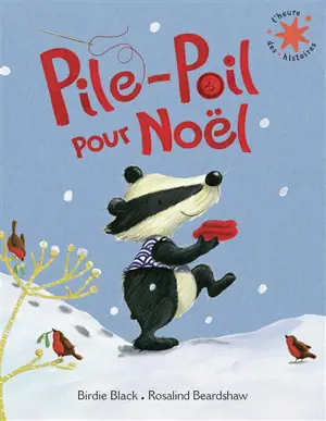 Pile-poil pour Noël