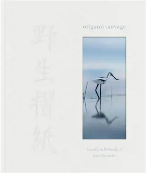 Origami sauvage