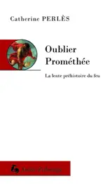 Oublier Prométhée : la lente préhistoire du feu