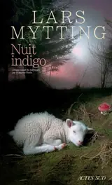 Nuit indigo