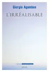 L'irréalisable : pour une politique de l'ontologie