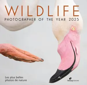 Wildlife photographer of the year 2025 : les plus belles photos de nature
