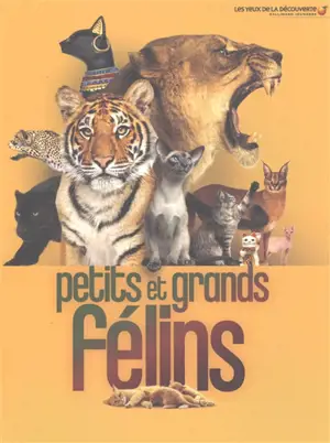 Petits et grands félins