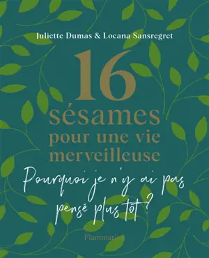 16 sésames pour une vie merveilleuse : pourquoi je n'y ai pas pensé plus tôt ?