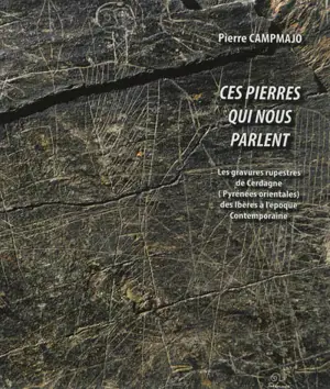 Ces pierres qui nous parlent, les gravures rupestres de Cerdagne, Pyrénées-Orientales, de la fin de l'âge du fer à l'époque contemporaine : corpus, approches chronologique, spatiale et culturelle : Ecole des hautes études en sciences sociales, thèse 