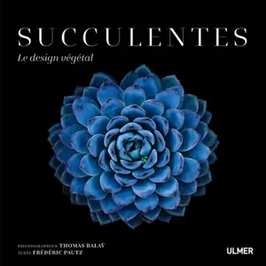 Succulentes : le design végétal