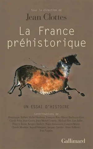 La France préhistorique : un essai d'histoire