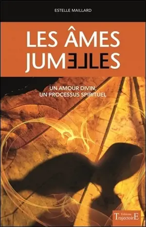 Les âmes jumelles : un amour divin, un processus spirituel