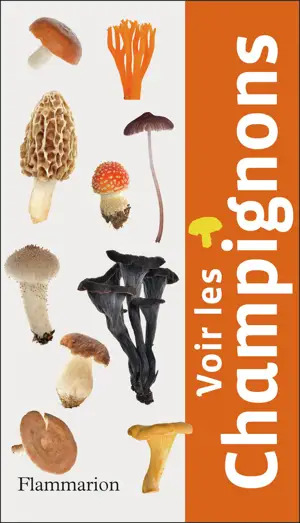 VOIR LES CHAMPIGNONS