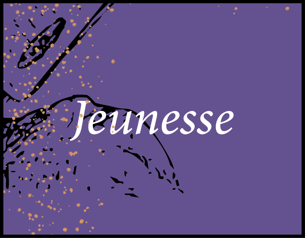 Les sélections de Noël de la librairie Ombres blanches jeunesse