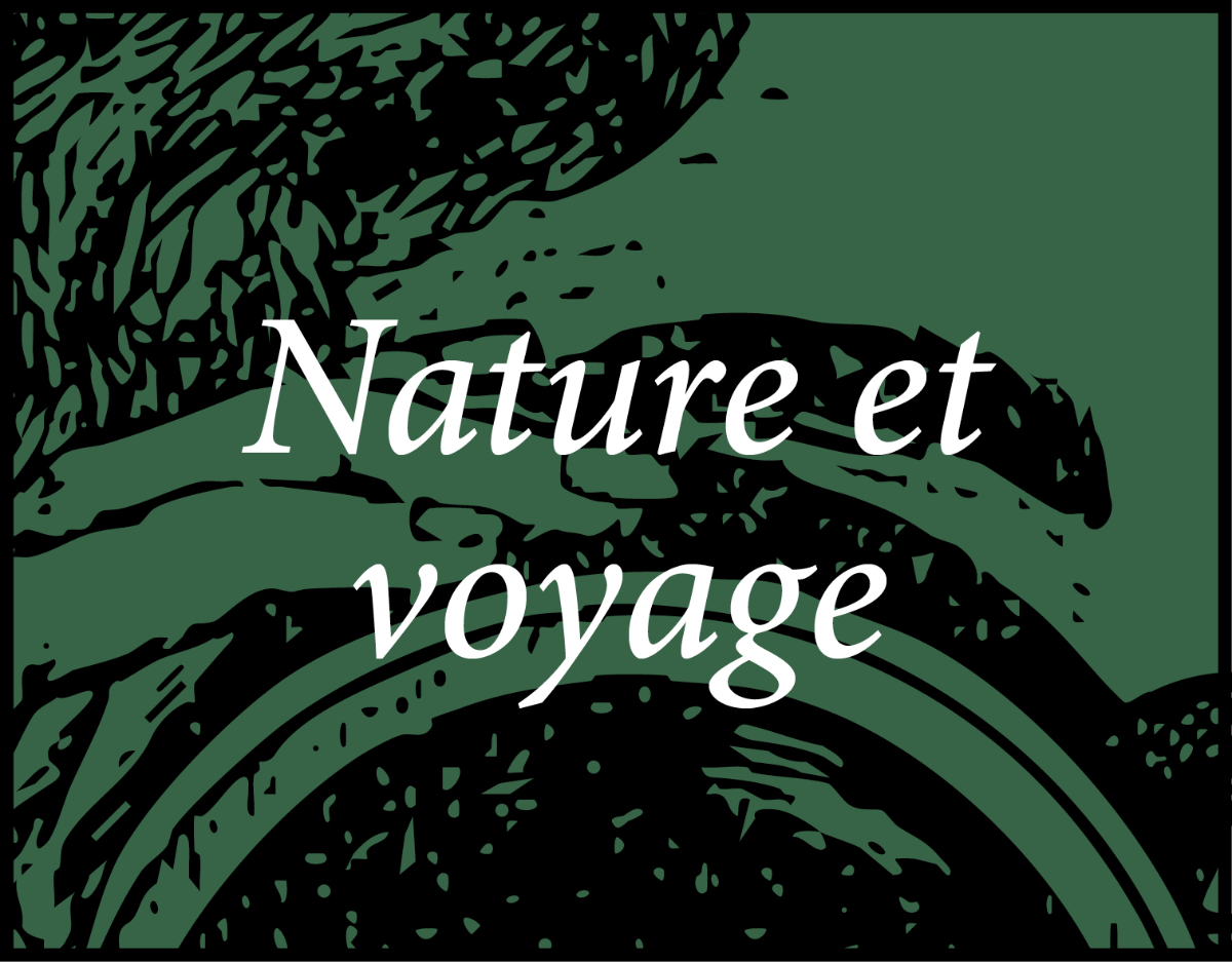 Les sélections de Noël de la librairie Ombres blanches Voyage et nature