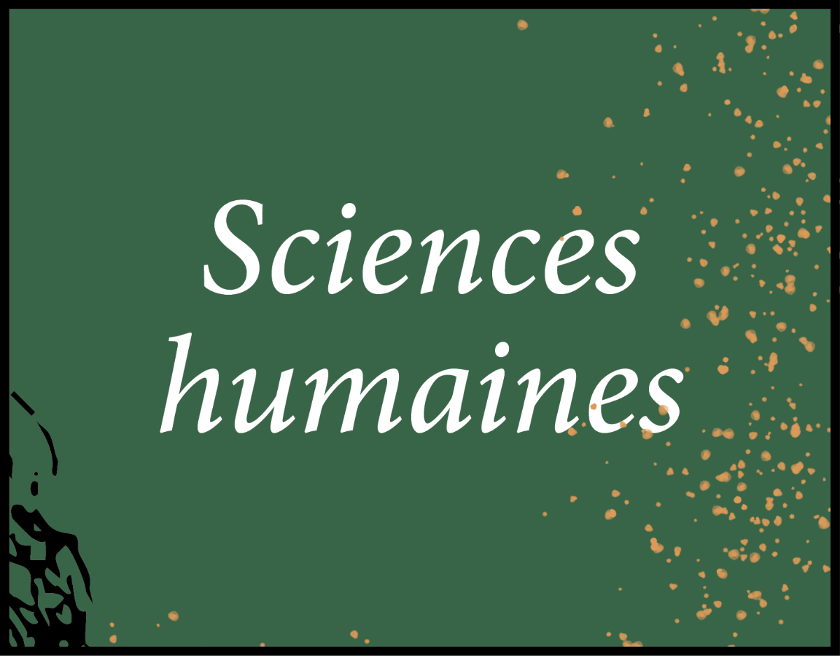 Les sélections de Noël de la librairie Ombres blanches Sciences humaines