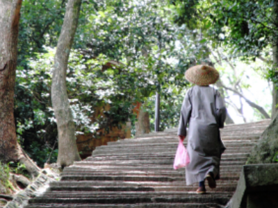 La sagesse des nonnes