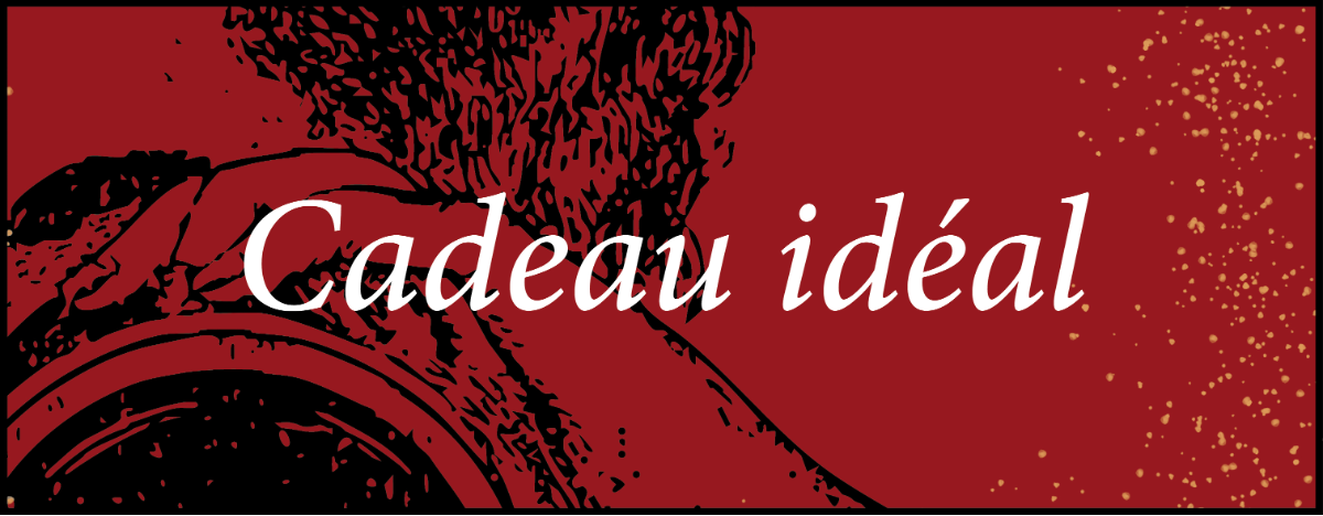 Les sélections de Noël de la librairie Ombres blanches – Un cadeau idéal