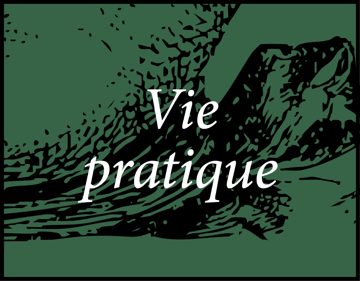 Les sélections de Noël de la librairie Ombres blanches Vie pratique