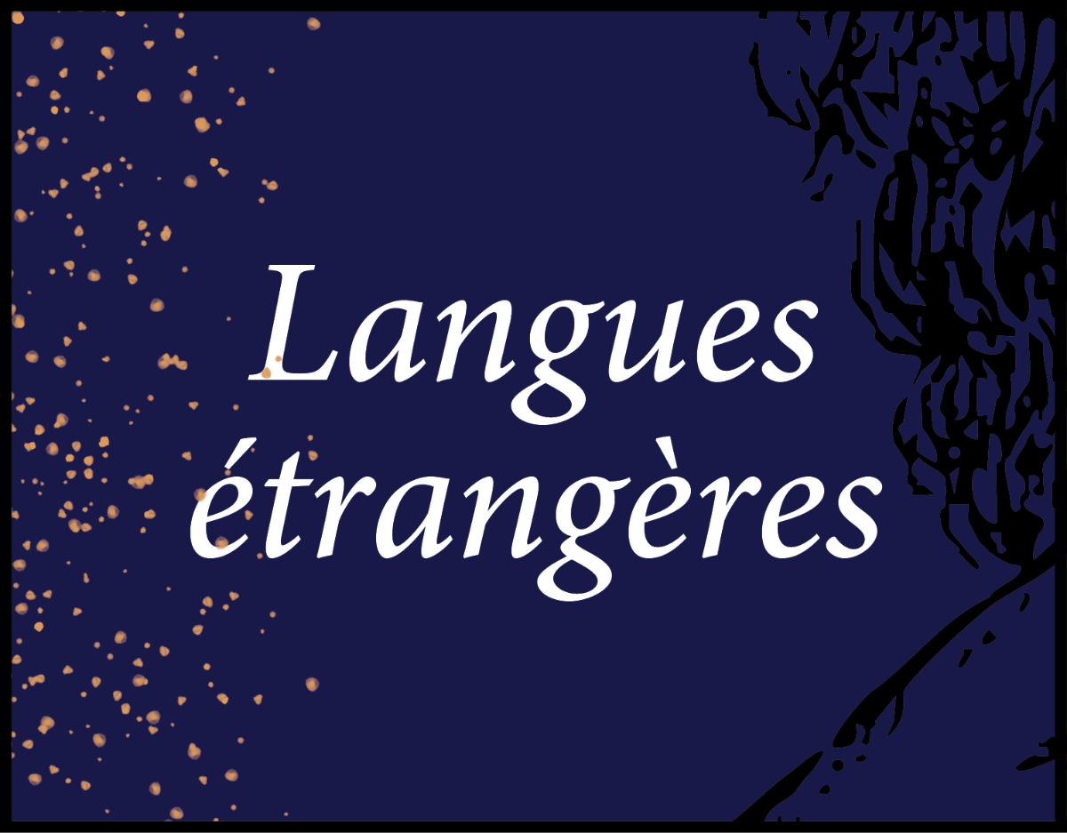 Les sélections de la librairie Ombres blanches VO et langues étrangères