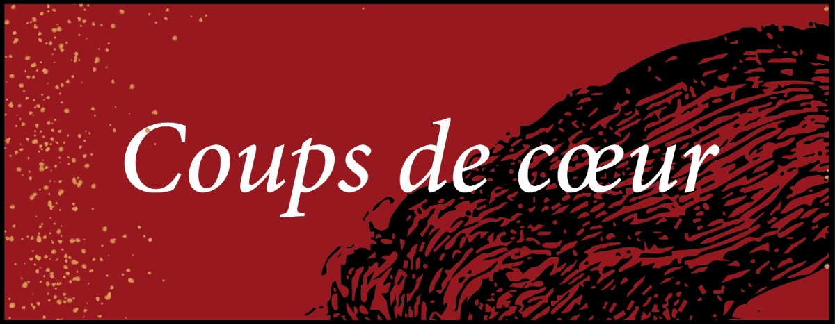 Les coups de cœur de Noël de la librairie Ombres blanches