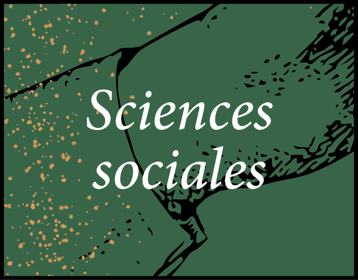 Les sélections de Noël de la librairie Ombres blanches Sciences humaines et sociales