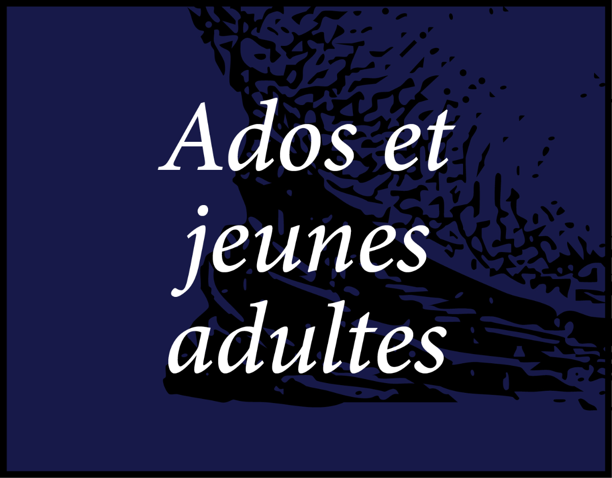 Les sélections de Noël de la librairie Ombres blanches Ados et jeunes adultes