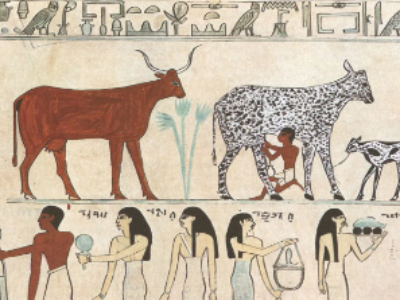 Des animaux en philosophie