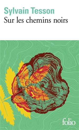 Sur les chemins noirs - Sylvain Tesson